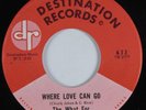 Garage Mod Soul 45 THE WHAT FOR Where Love Can Go DESTINATION HEAR NM