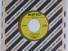 Garage Rockabilly 45 LINK WRAY & WRAYMEN Comanche EPIC HEAR NM