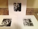 CATHERINE WHEEL three-12