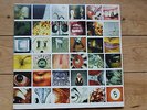 PEARL JAM * NO CODE * ORIGINAL 1996 EPIC PRESSING VINYL LP * D-SET * GREAT COPY