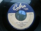 Rare Blues Rocker 45  Harold Burrage - You Eat Too Much  COBRA  