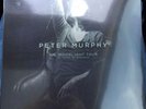 Peter Murphy 10
