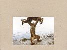 SHELLAC DUDE INCREDIBLE TOUCH AND GO RECORDS CD + LP VINYLE NEUF