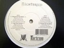 Indie Rap/Hip-Hop 12