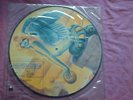 AMANDA LEAR-NEVER TRUST A PRETTY FACE 1979 PICTURE DISC LP
