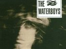 WATERBOYS 1983 Self Titled 180gm Vinyl LP 2014 NEW & SEALED