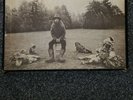 George Harrison all things must pass box albums???HOUSE CLEARANCE???