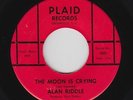 Rockabilly 45 - Alan Riddle - The Moon Is Crying - Plaid - mp3