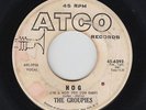 Garage 45 - Groupies - Hog - Atco - mp3