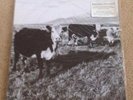 Mark Kozelek- The Finally LP White Vinyl SEALED (Sun Kil Moon)