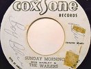 THE WAILERS 