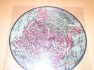 Unleashed -victory- Picture LP