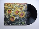 Sunnyboys - Individuals