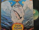 NM Steve Hillage Fish Rising Virgin UK V2031 LP VPI Cleaned