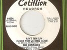 THE DYNAMICS Aint No Sun COTILLION PROMO  NORTHERN SOUL 45