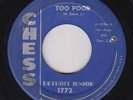 R&B Blues 45 - Detroit Junior - Too Poor - Chess - mp3