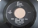 1965 Garage--The Leaves--Hey Joe, Where You Gonna Go--Mira 207 45rpm  VG+