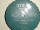 Leprechaun - No End To My Love 12