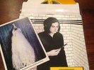 Jack White Love Interruption Tri-Color Third Man Records White Stripes