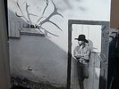 MICHAEL MARTIN MURPHEY.  