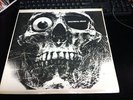 THE GRATEFUL DEAD santa monica sessions 2LP RARE SEALED 1981 PSYCH FOLK phish