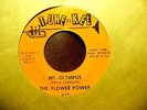 FLOWER POWER-MT.OLYMPUS,TUNE-KEL,LOUISIANA PSYCH FEEDBACK ENDING