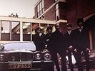 FLAMIN' GROOVIES - Shake Some Action - 180 gram vinyl LP