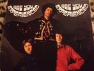 Jimi Hendrix Experience Vinyl LP Records Are You Experienced 1967 Double Ex Con
