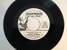 Shadows of Knight - Someone Like Me / Three for Love - 1967 Dunwich PROMO 45