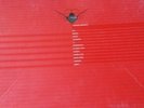 Cocoon Compilation B gut gebraucht  6 Vinyls