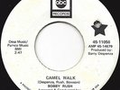 BOBBY RUSH-N.SOUL/FUNK WL Promo 45-LISTEN MP3'S-ABC-Camel Walk/Gotta Have Money