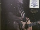 Willie Nelson What A Wonderful World NEAR MINT CBS Vinyl LP