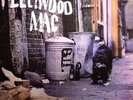 FLEETWOOD MAC - Peter Green's Fleetwood Mac - 180 gram vinyl LP