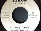 Big Don's Rebellion  -  It Was True  -  Ethon WD