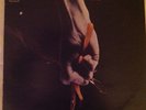 Tear Gas 1971 UK Original LP on Regal Zonophone SLRZ1021