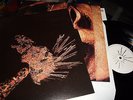 TEST DEPT. : THE UNACCEPTABLE FACE OF FREEDOM MULTIFOLDOUT COVER LP 1986 NL