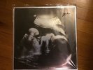 Integrity Systems Overload Test Press Organized Crime
