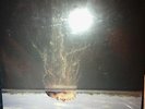 MARS VOLTA De-Loused In The Comatorium  2003 Ltd. 2LP silver w/ poster AS NEW