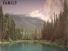 HANDSOME FAMILY, The - Through The Trees - LP