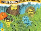 Endless Summer - 2 DISC SET - Beach Boys (2008, Vinyl NEW) Lmtd ED.