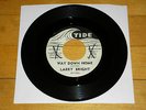 Larry Bright - Way Down Home/Bloodhound 45 Promo northern soul rocker VG HEAR