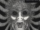 Ty Segall - Slaughterhouse Vinyl US 2x10