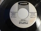 ROCKABILLY ROCKER 45 ROCKY STORM & TWINKLETONES EDDIE COCHRAN DJ JOSIE SHOULD I
