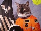 Klaxons - Surfing The Void - New Gatefold 2 x White Vinyl LP g