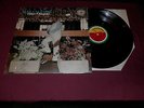 Rudy Calzado  Sals aY Alegria  SonoTropic Record