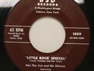 PAT THE CAT & KITTENS little rock special 45 BSD -WILD rockabilly rocker- HEAR