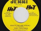 70s Soul 45 - Tony Troutman - What's The Use - Jerri - VG++ mp3 - rare