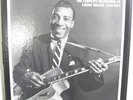 T Bone Walker-Complete Recordings 1940-1954-Rare Mosaic Blues 9 LP Set-Near Mint