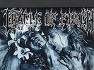 CRADLE OF FILTH - the principle of evil made flesh LP