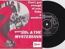 ? AND THE MYSTERIANS - Can't Get Enough Of You 7'' Dutch GARAGE PSYCH FREAKBEAT